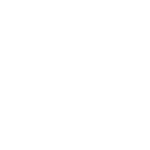 NomaSoft logo